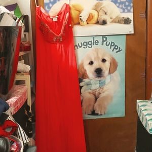 Long Pink Prom Dress